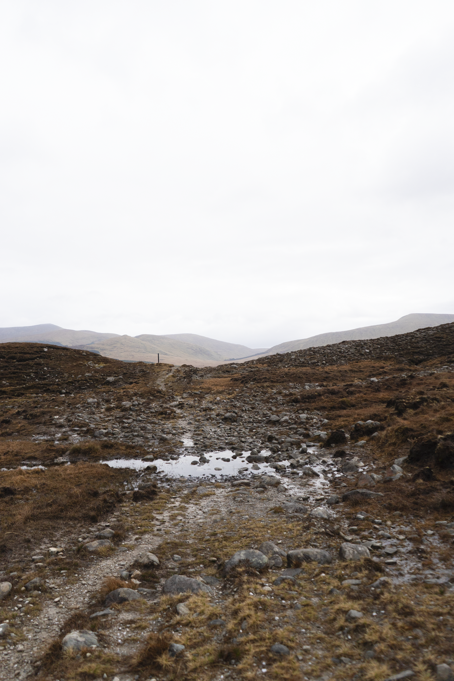 Bangor-Trail-2025-01532.png