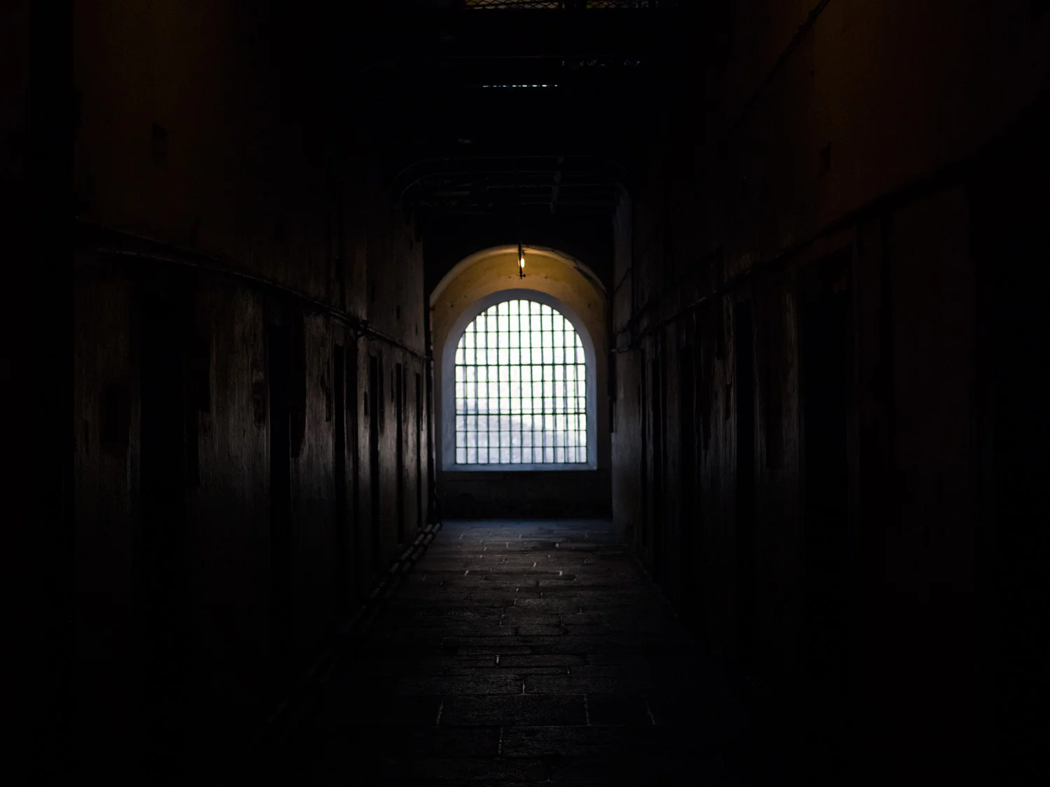 P1170393-web.jpg