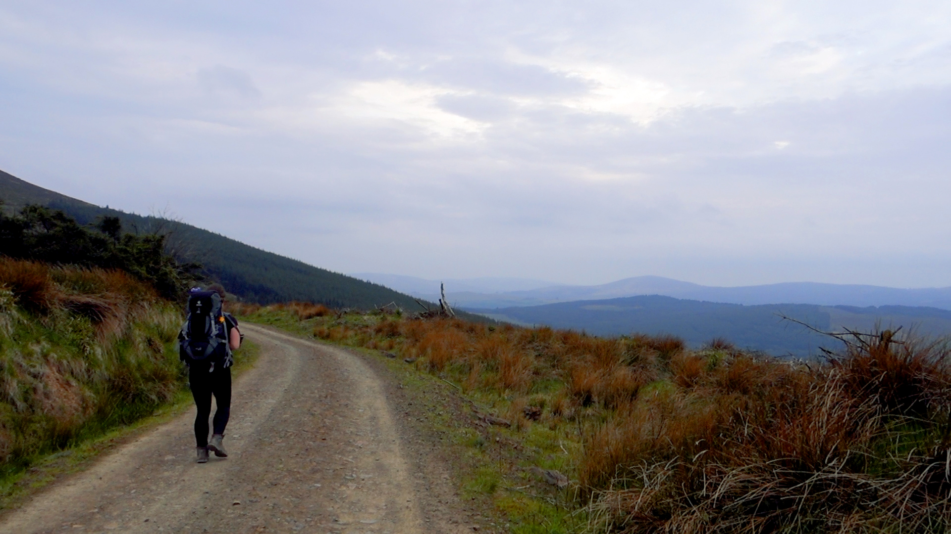 Slieve Felim Way.00_05_44_17.Still002.jpg