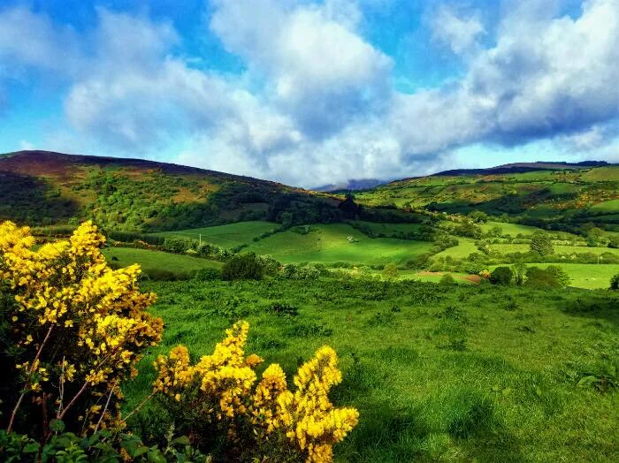 Silvermines walking festival.jpg