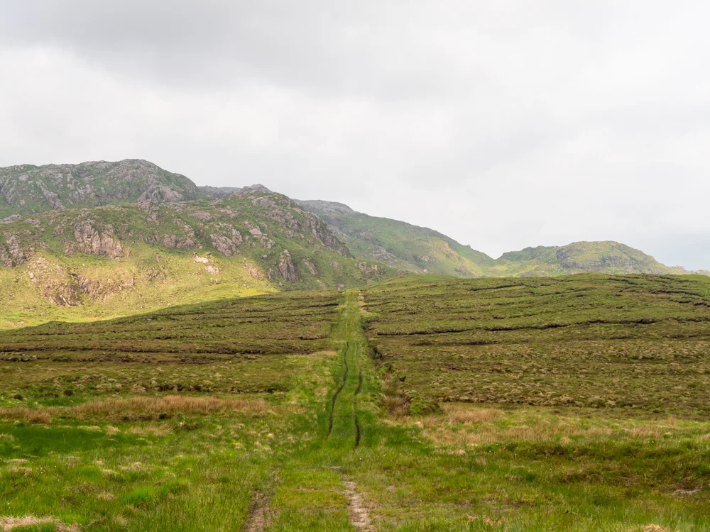 17% of Ireland’s land surface is covered in peat/bog, which, ranks it as the third most “boggy” land in the world (behind Canada and Finland)