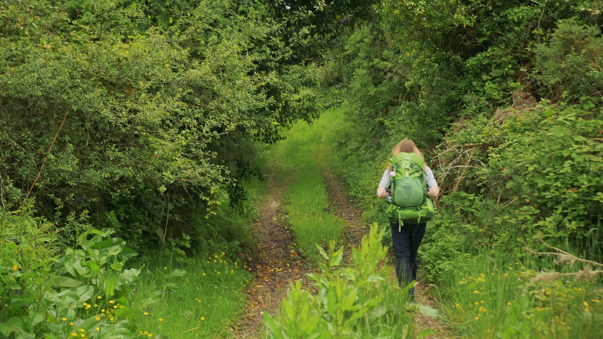 Slieve Bloom Way.00_01_39_29.Still008.jpg