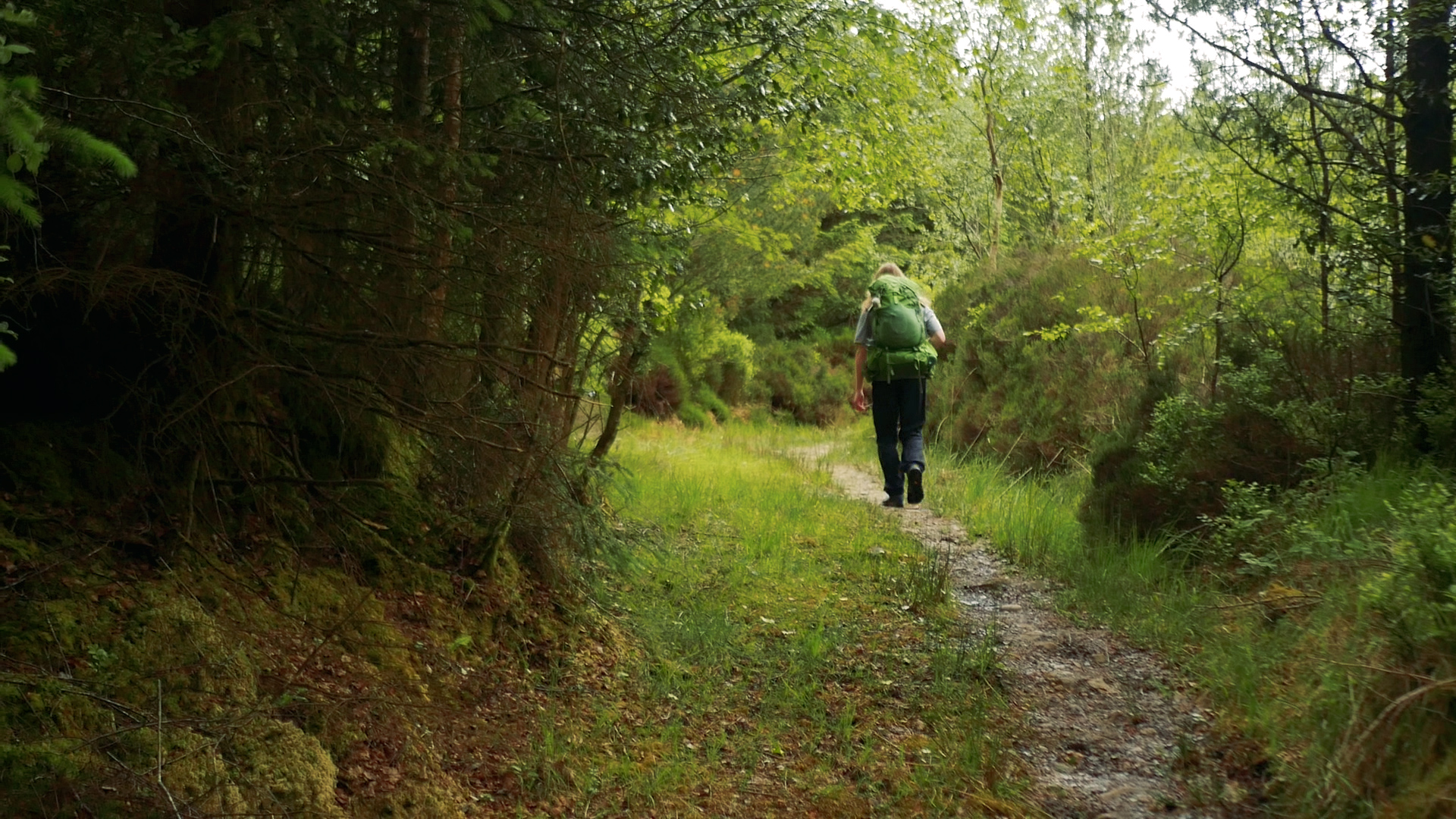 Slieve Bloom Way.00_01_41_44.Still009.jpg