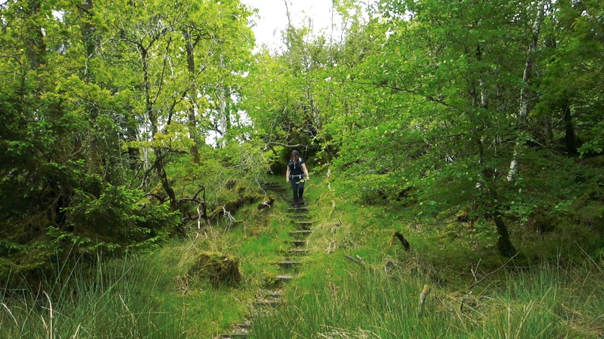 Slieve Bloom Way.00_02_32_20.Still013.jpg