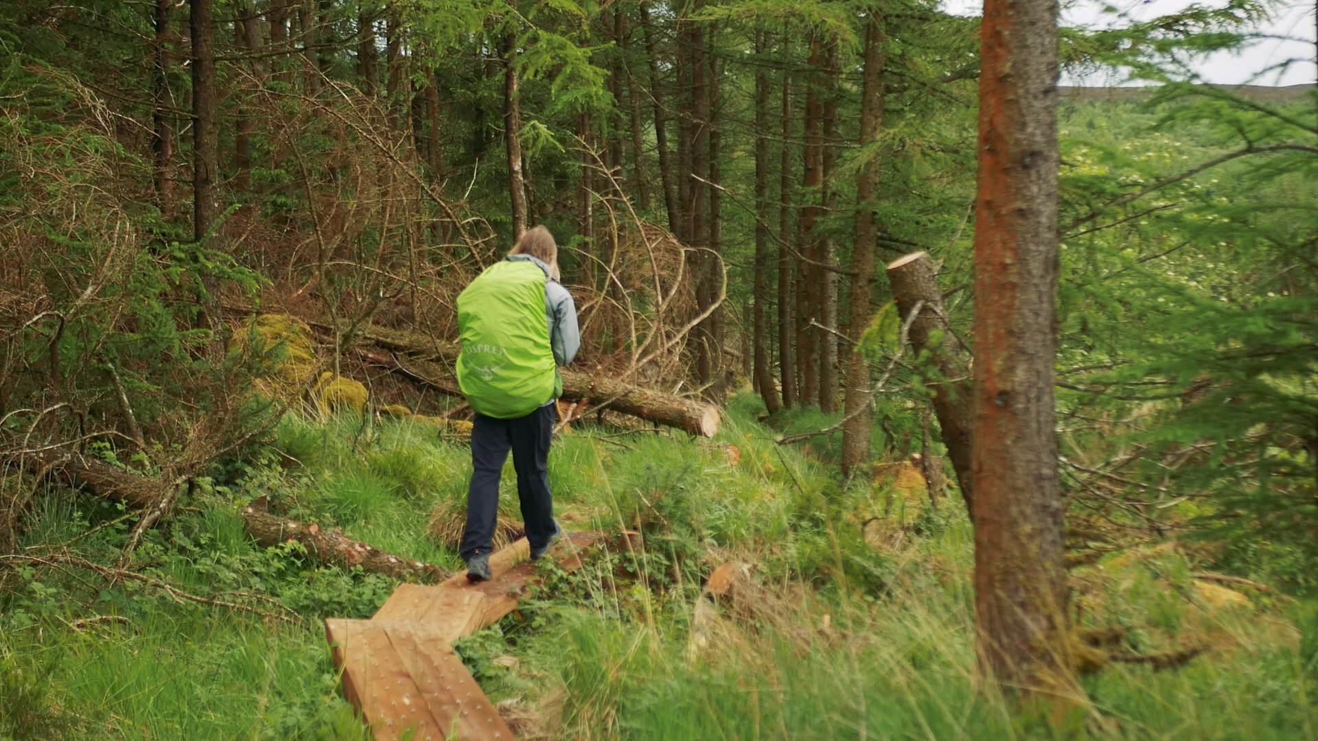 Slieve Bloom Way.00_02_53_29.Still015.jpg