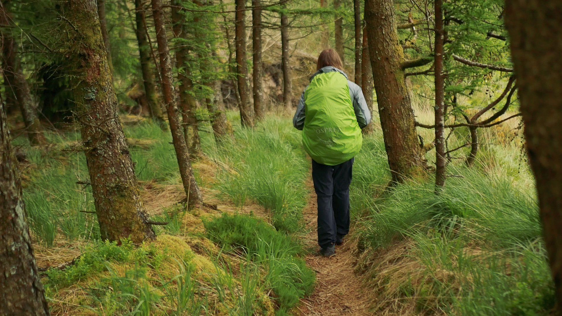 Slieve Bloom Way.00_02_53_46.Still016.jpg