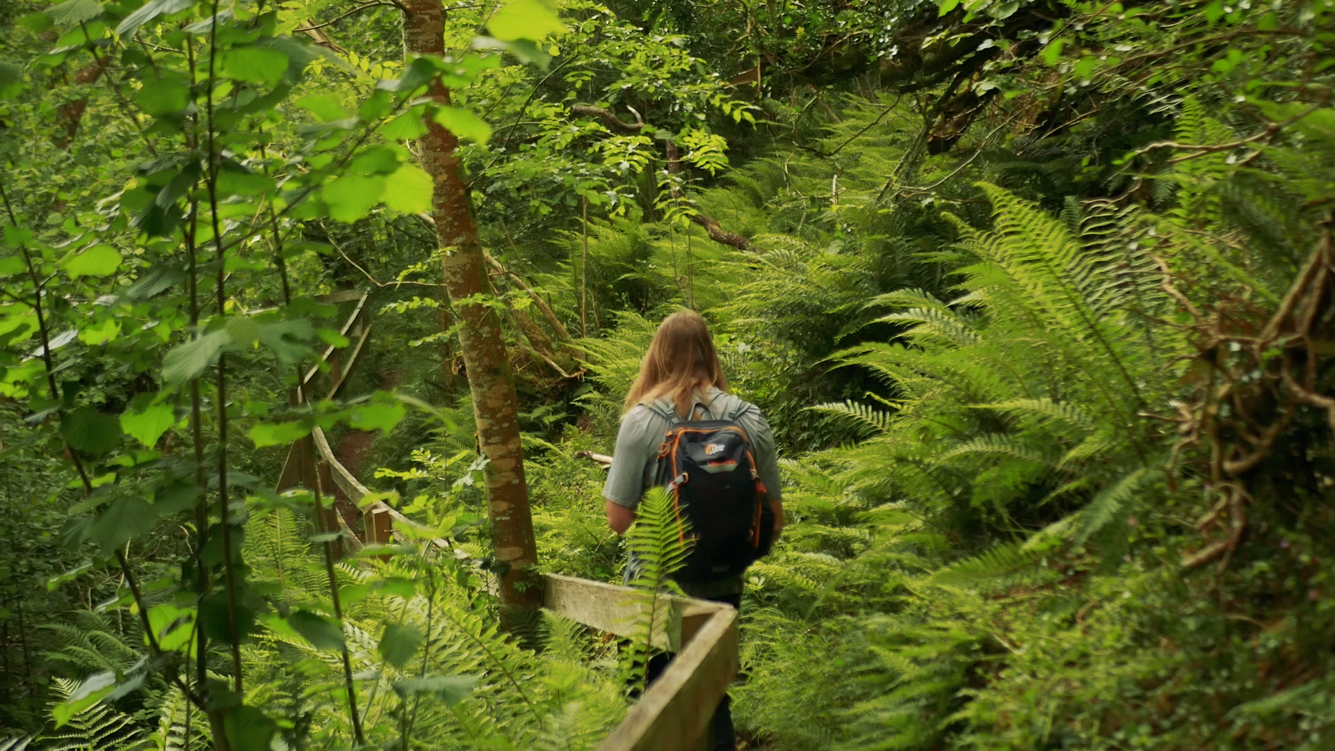 Slieve Bloom Way.00_16_50_29.Still002.jpg