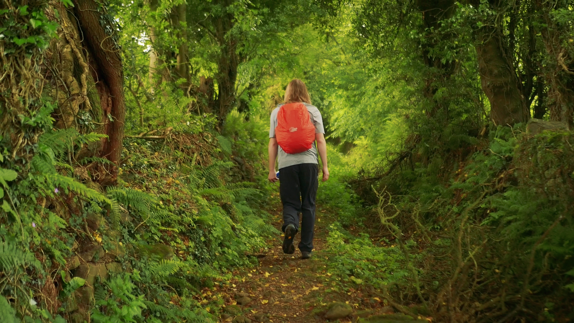 Slieve Bloom Way.00_17_56_34.Still003.jpg