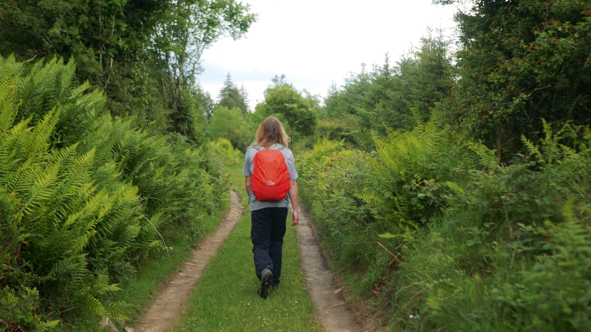 Slieve Bloom Way.00_19_01_03.Still042.jpg