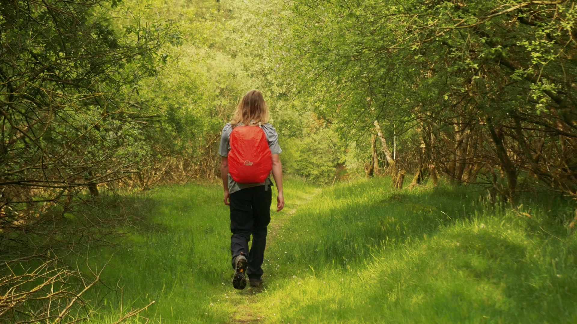 Slieve Bloom Way.00_18_03_08.Still041.jpg