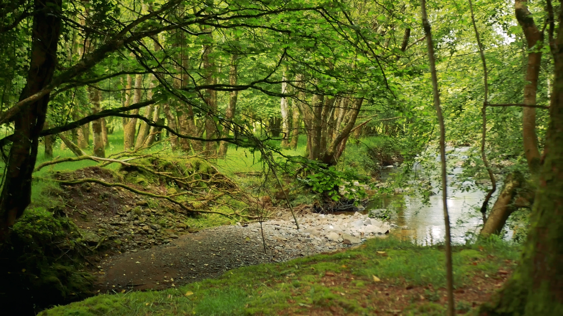 Slieve Bloom Way.00_14_35_25.Still032.jpg