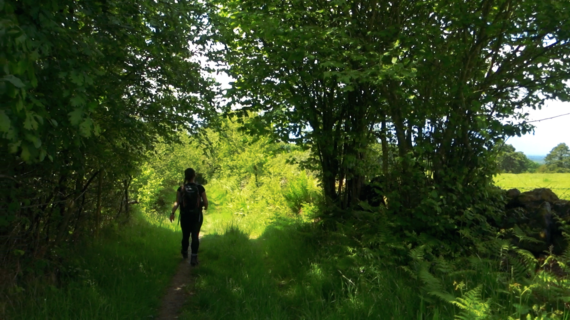 Slieve Bloom Way.00_14_58_42.Still034.jpg