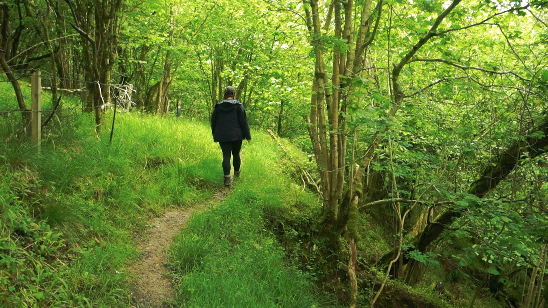 Slieve Bloom Way.00_14_43_00.Still033.jpg