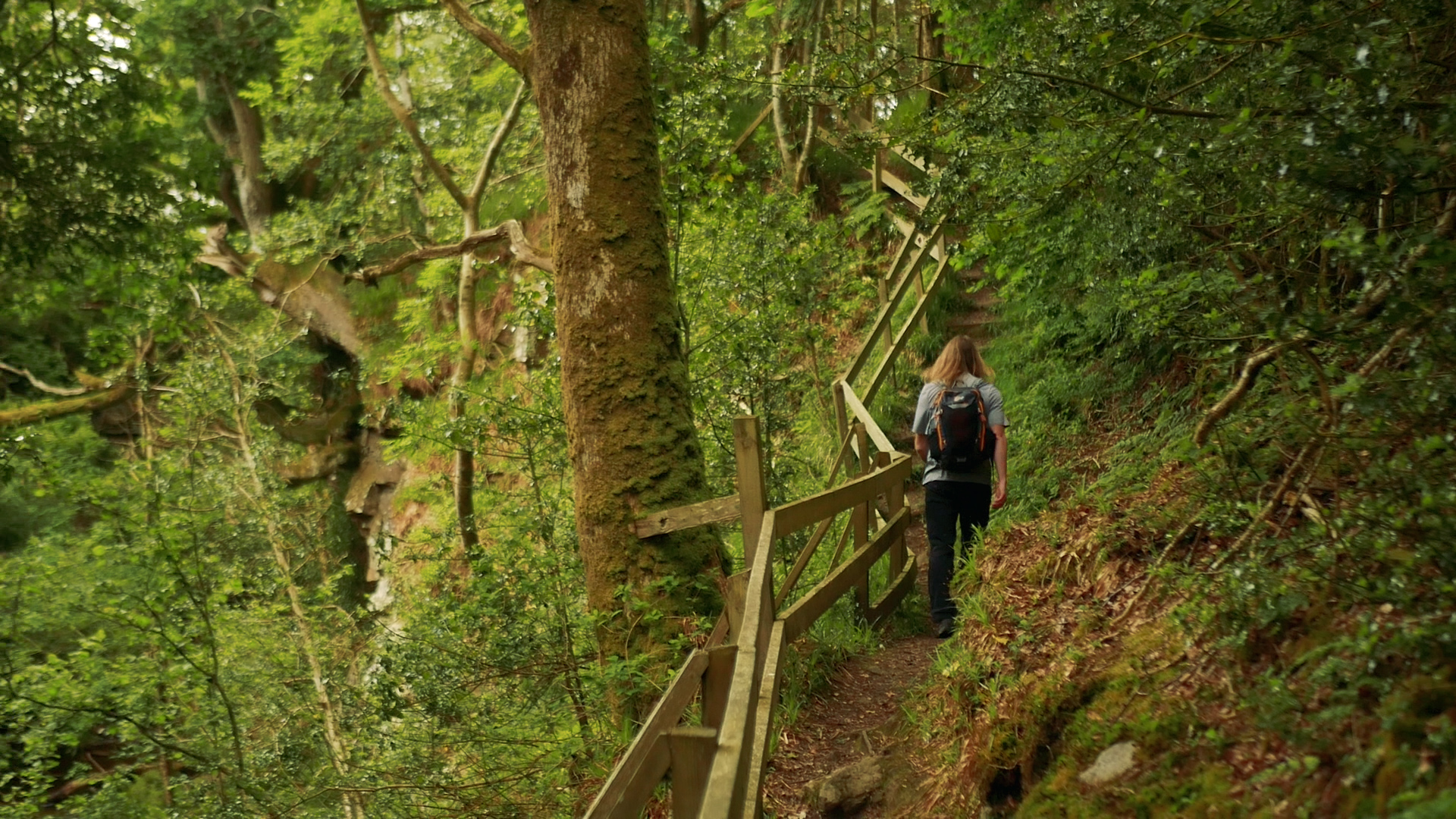 Slieve Bloom Way.00_16_32_10.Still037.jpg