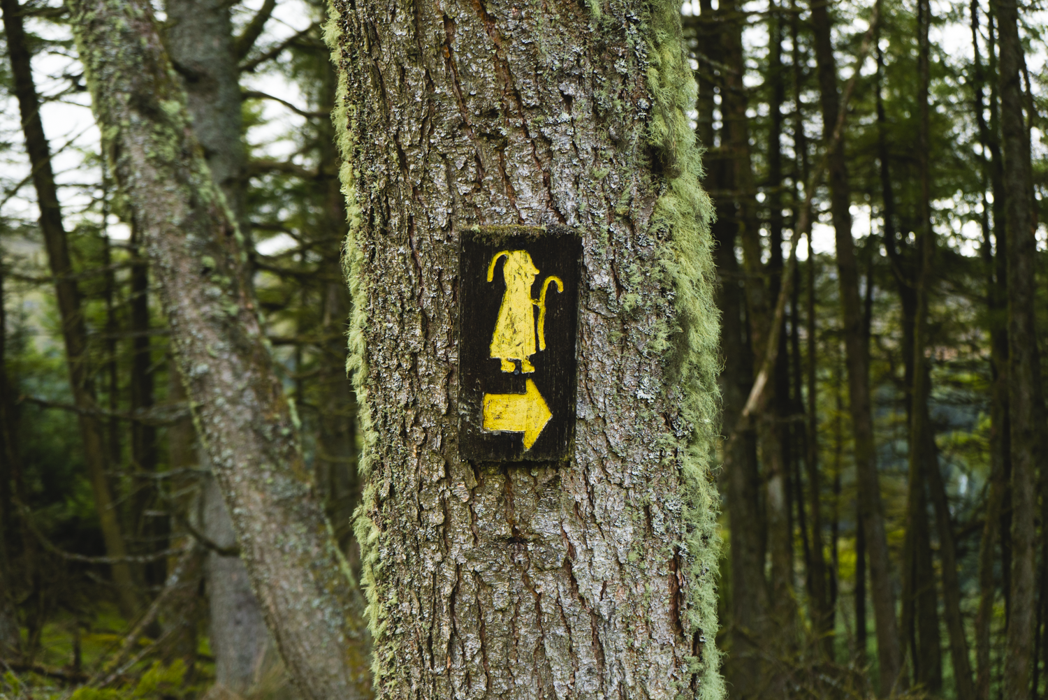 St. Kevin's Way - Wicklow