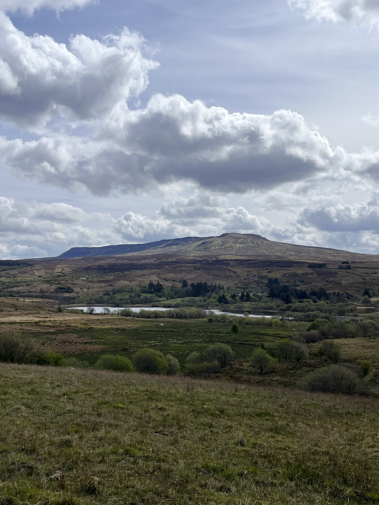 The-Cavan-Way-APR2025-4414.png