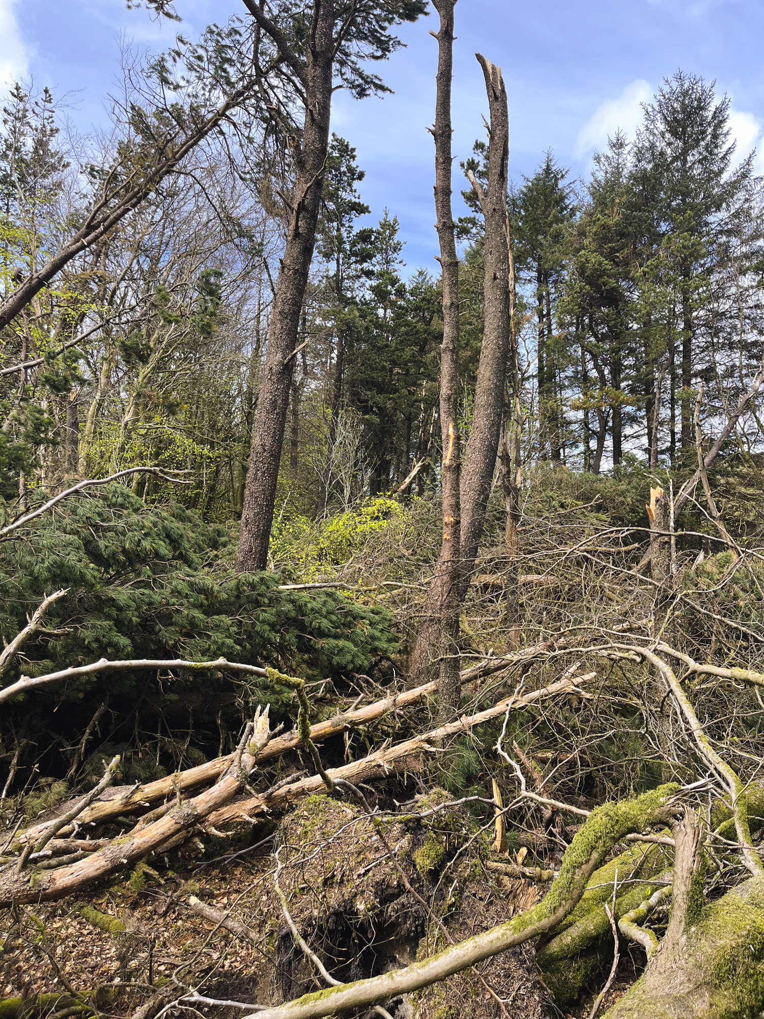 The-Cavan-Way-APR2025-4425.png