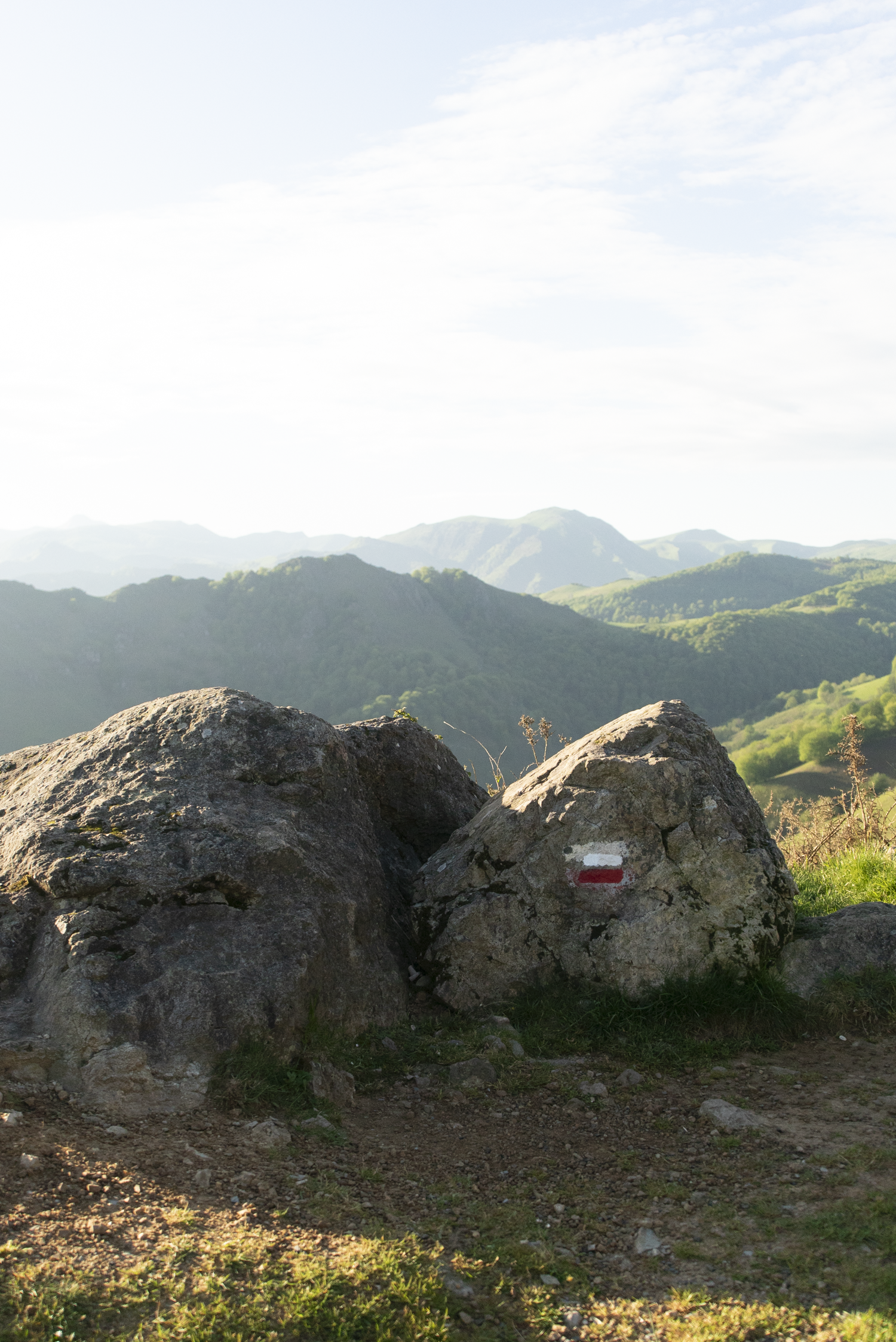 Camino-Frances-2025-02327.png