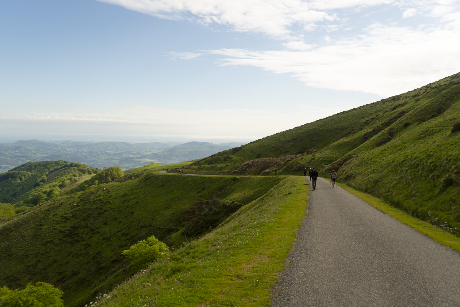 Camino-Frances-2025-02335.png