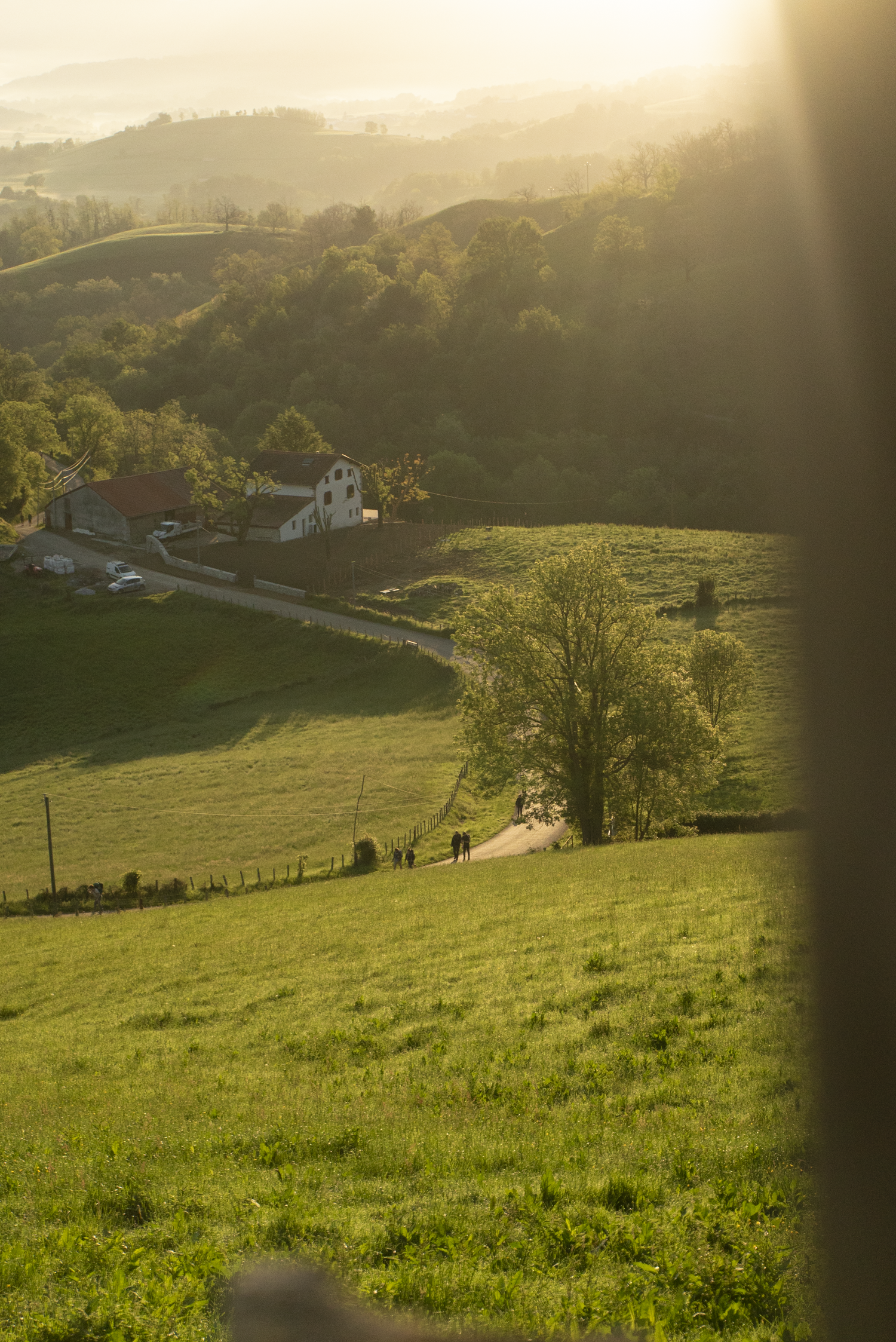Camino-Frances-photos-02325.png