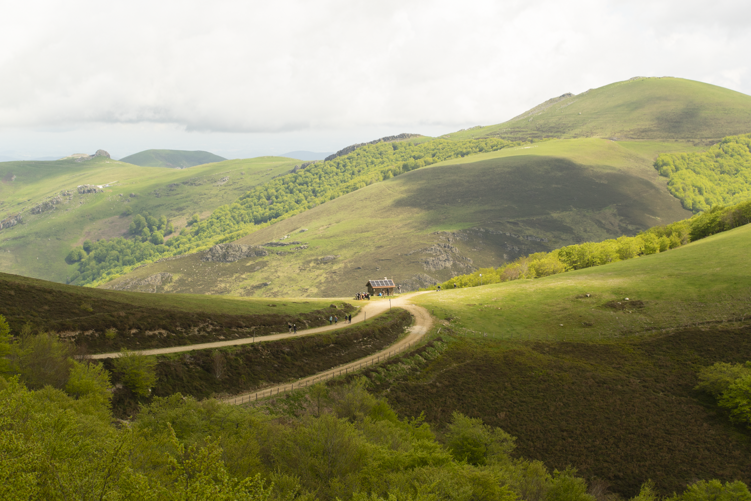 Camino-Frances-photos-02377.png