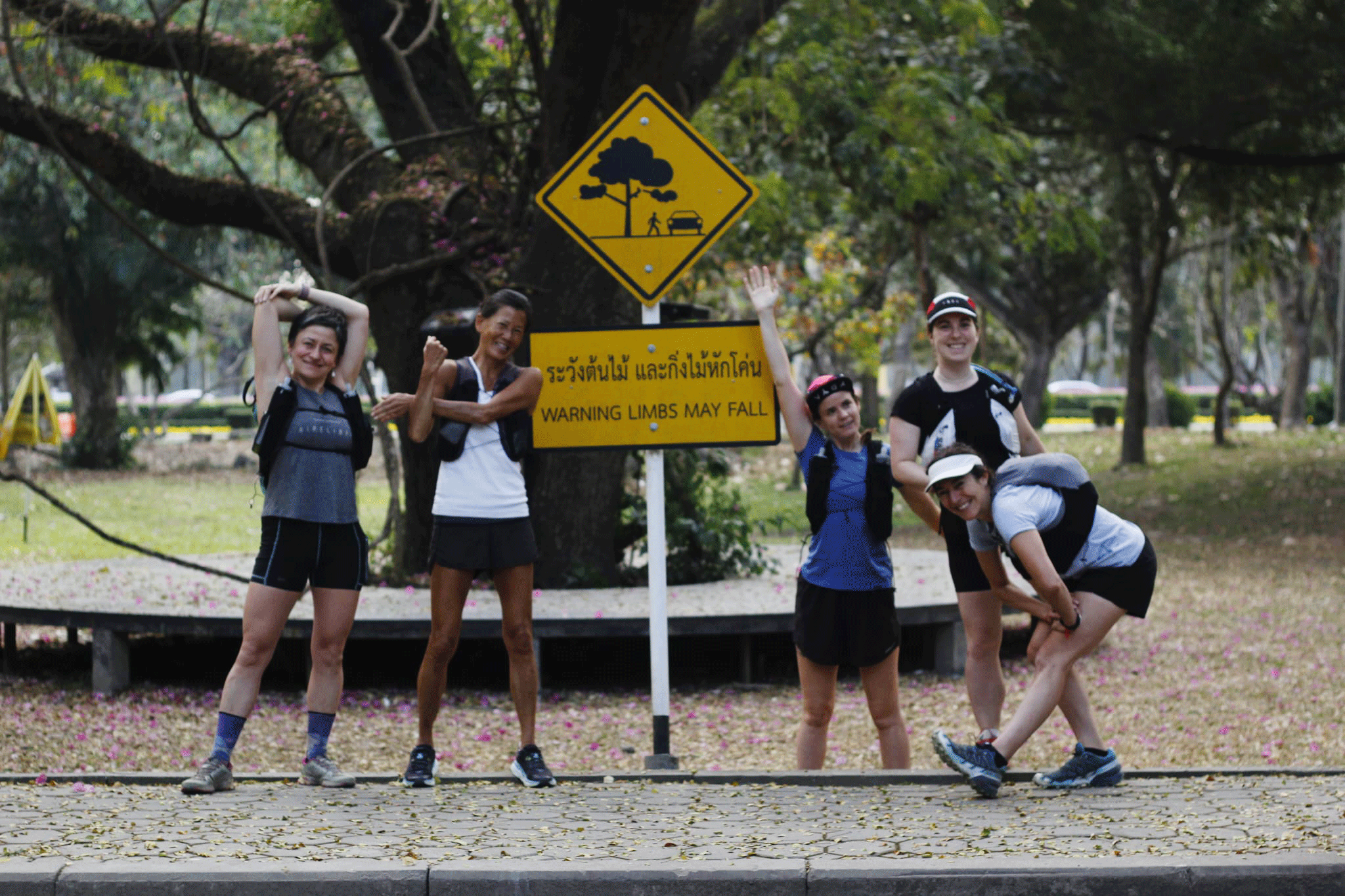 IMG-20250129-WA0064-ED.png