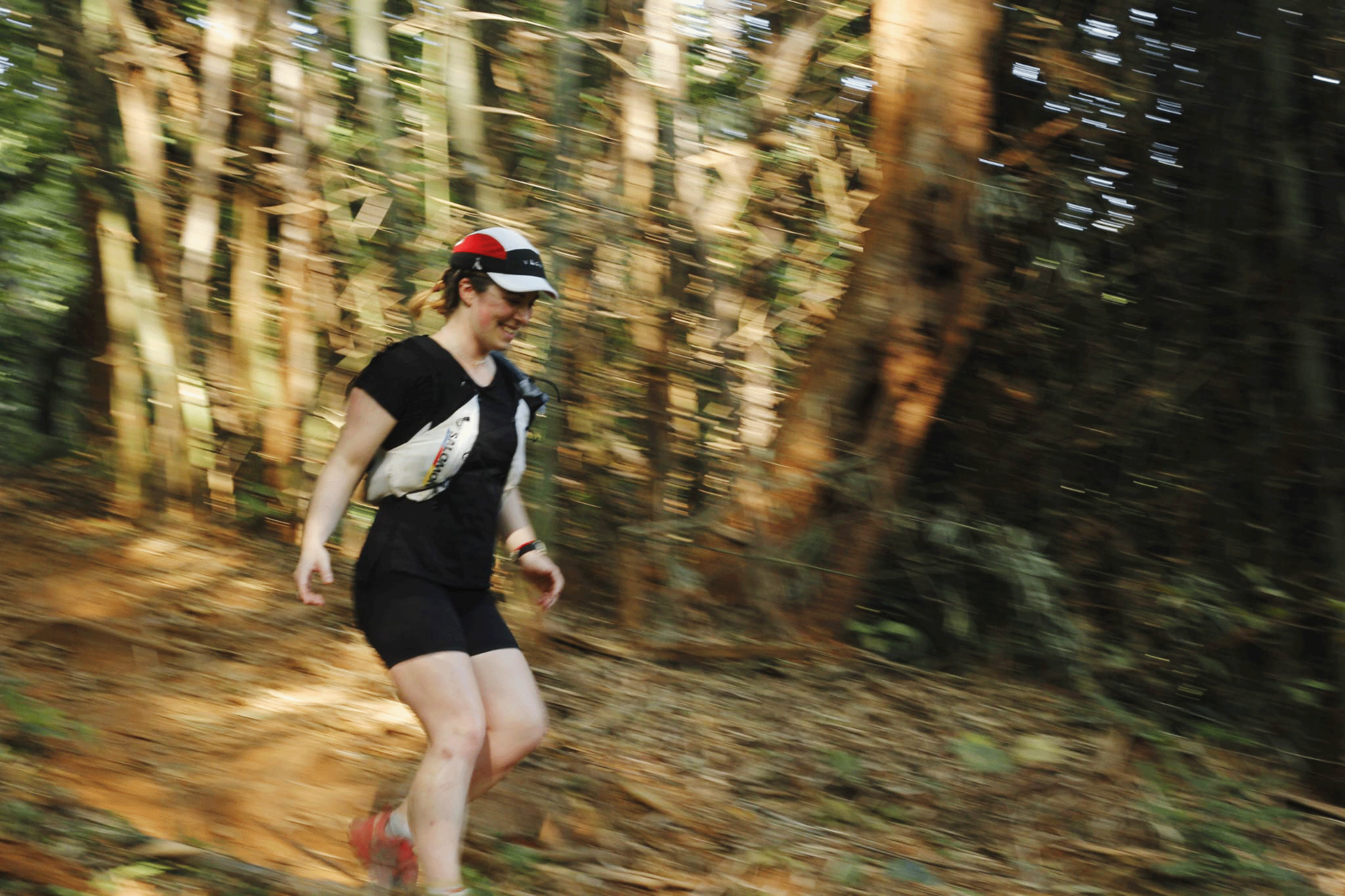 IMG-20250129-WA0151-ED.png