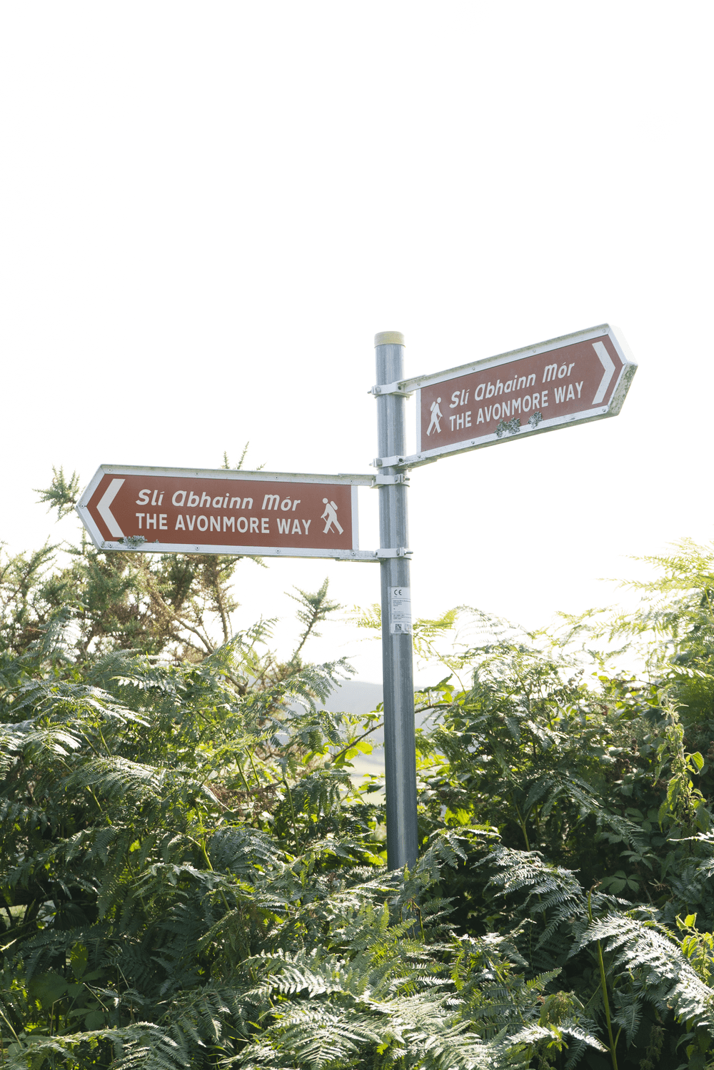 avonmore-way-2025-04875.png