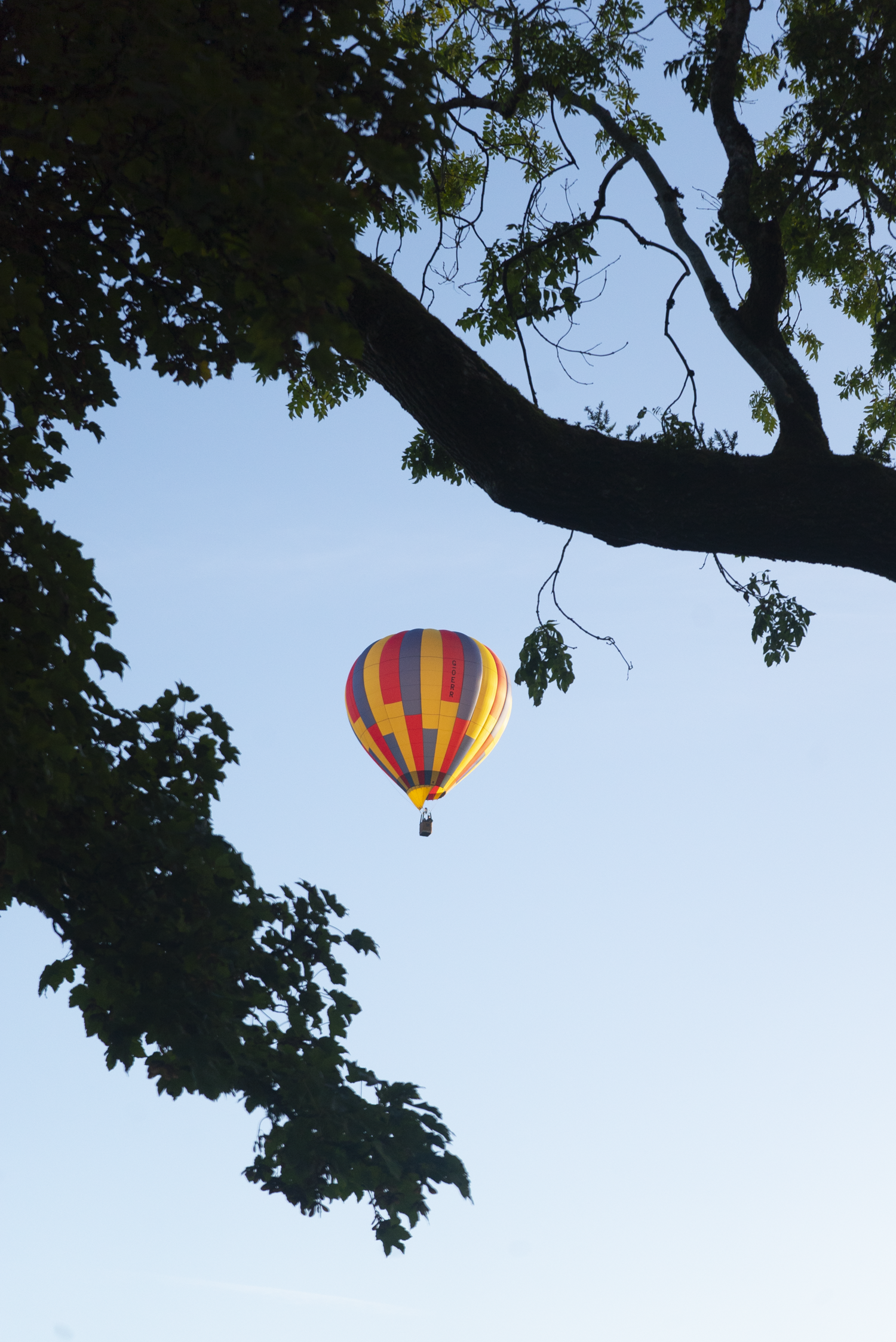 Tough-Soles-Balloons-Lough-Key-2025-07859.png