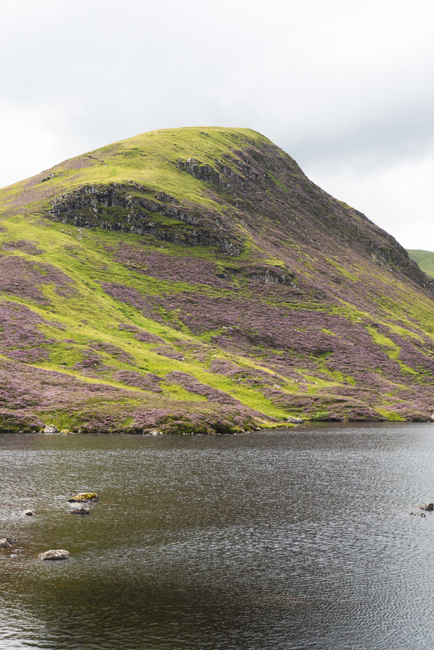 Borderlands-scotland-04373.png