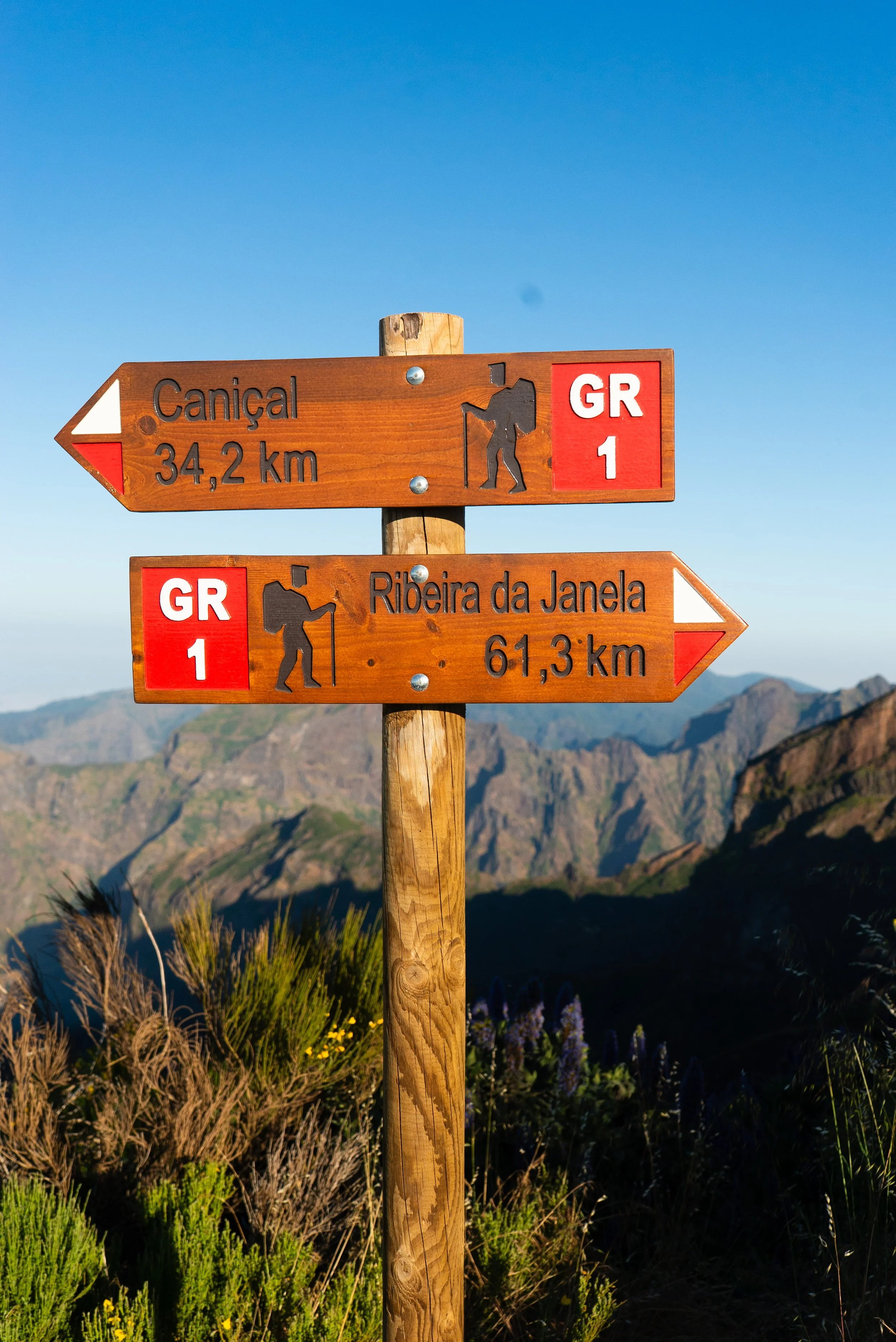 Madeira-2026-05279.jpg