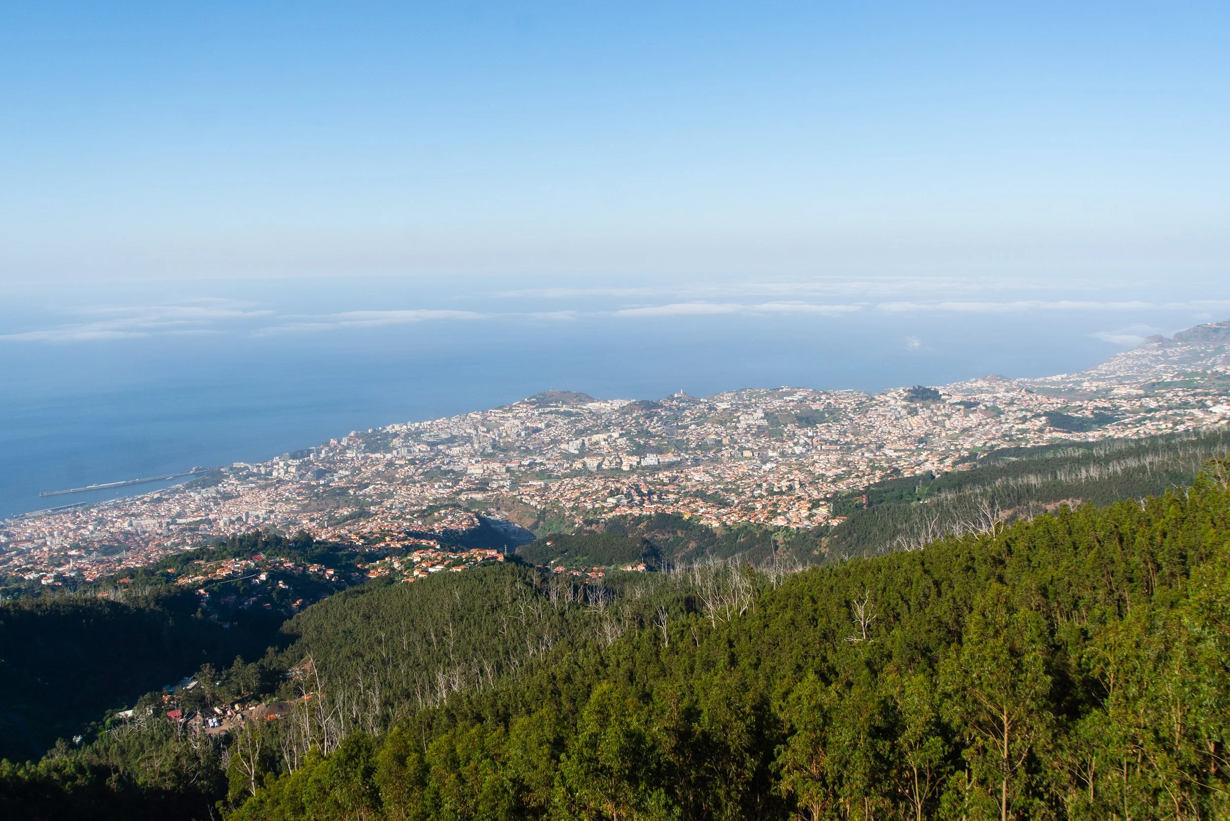 Madeira-2026-05303.jpg