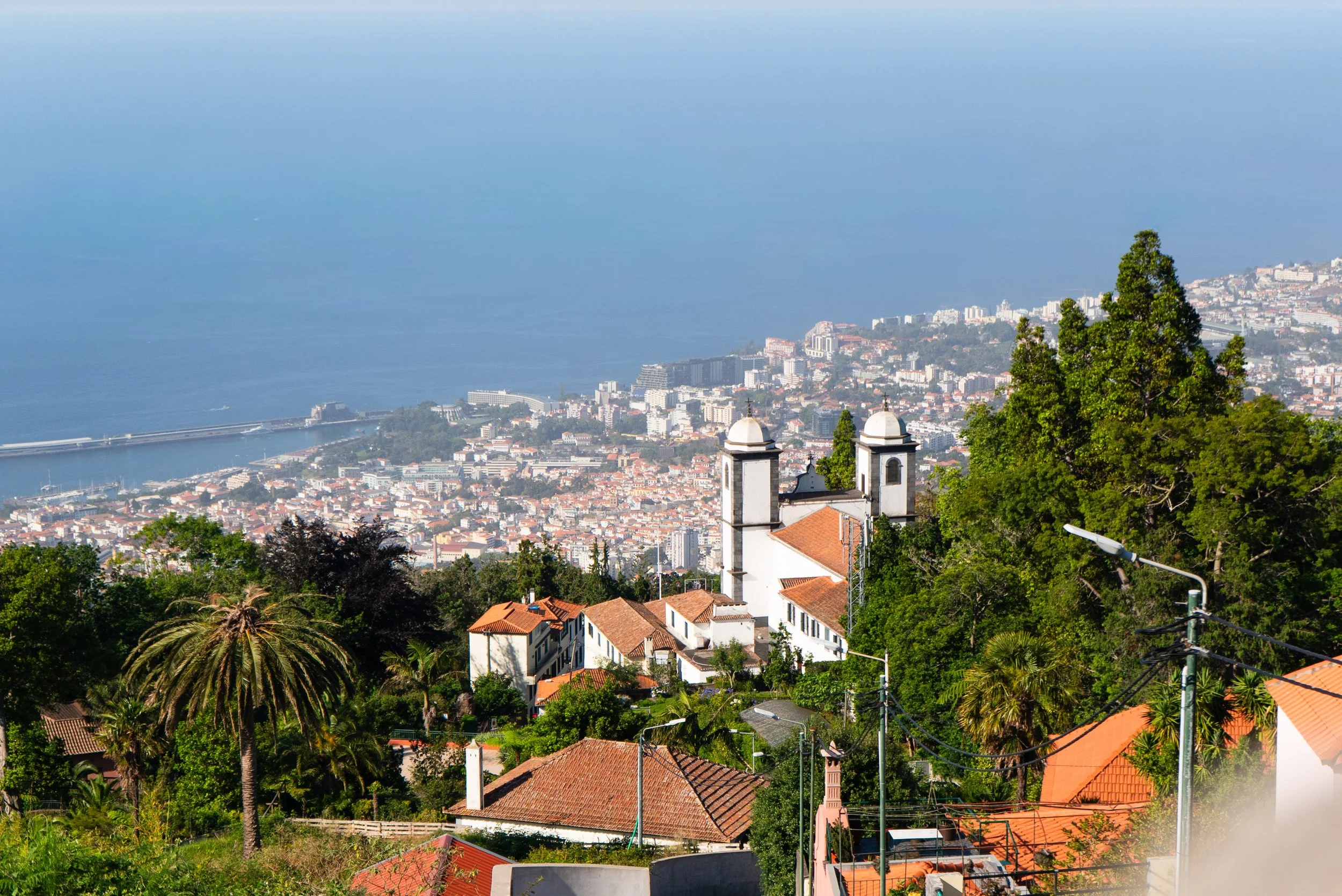 Madeira-2026-05323.jpg