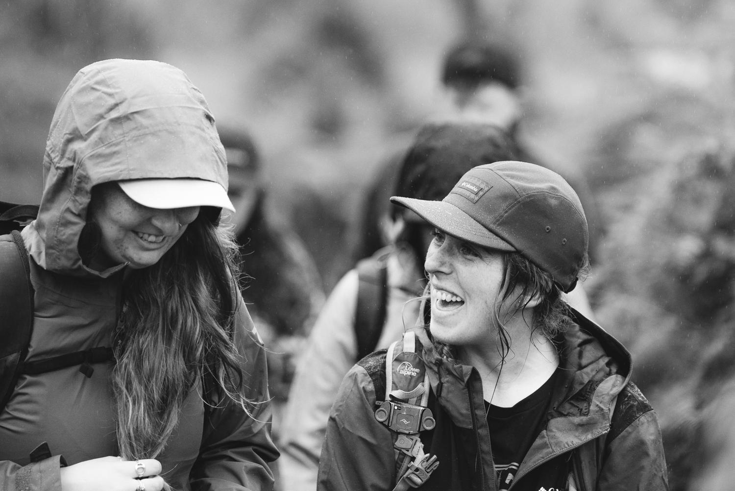 Group Hike: Bray Head Loop, Wicklow