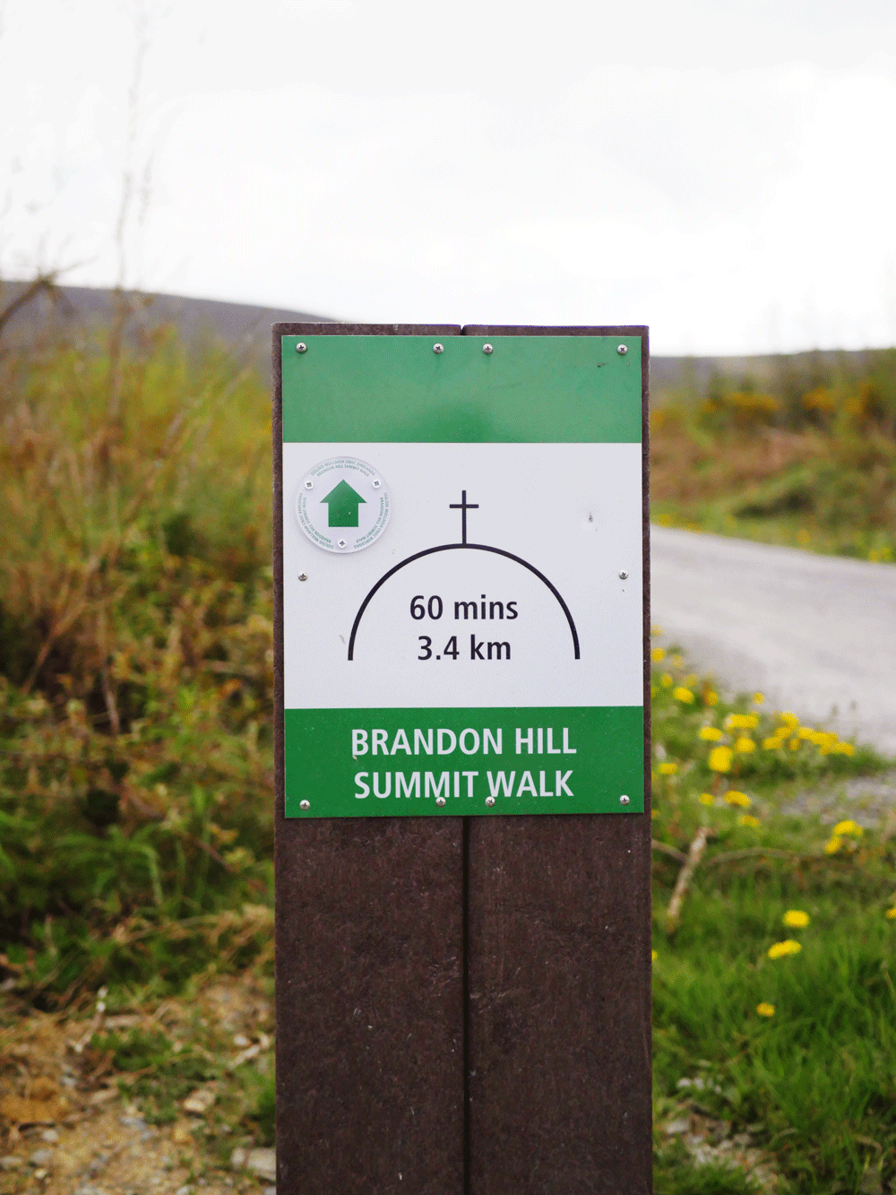 Tough Soles 👣 Brandon Hill: Kilkenny's County High Point