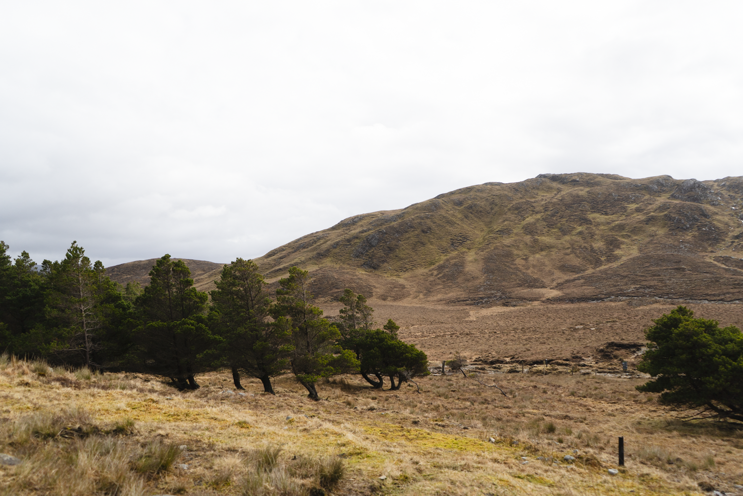 Bangor-Trail-2025-01546.png