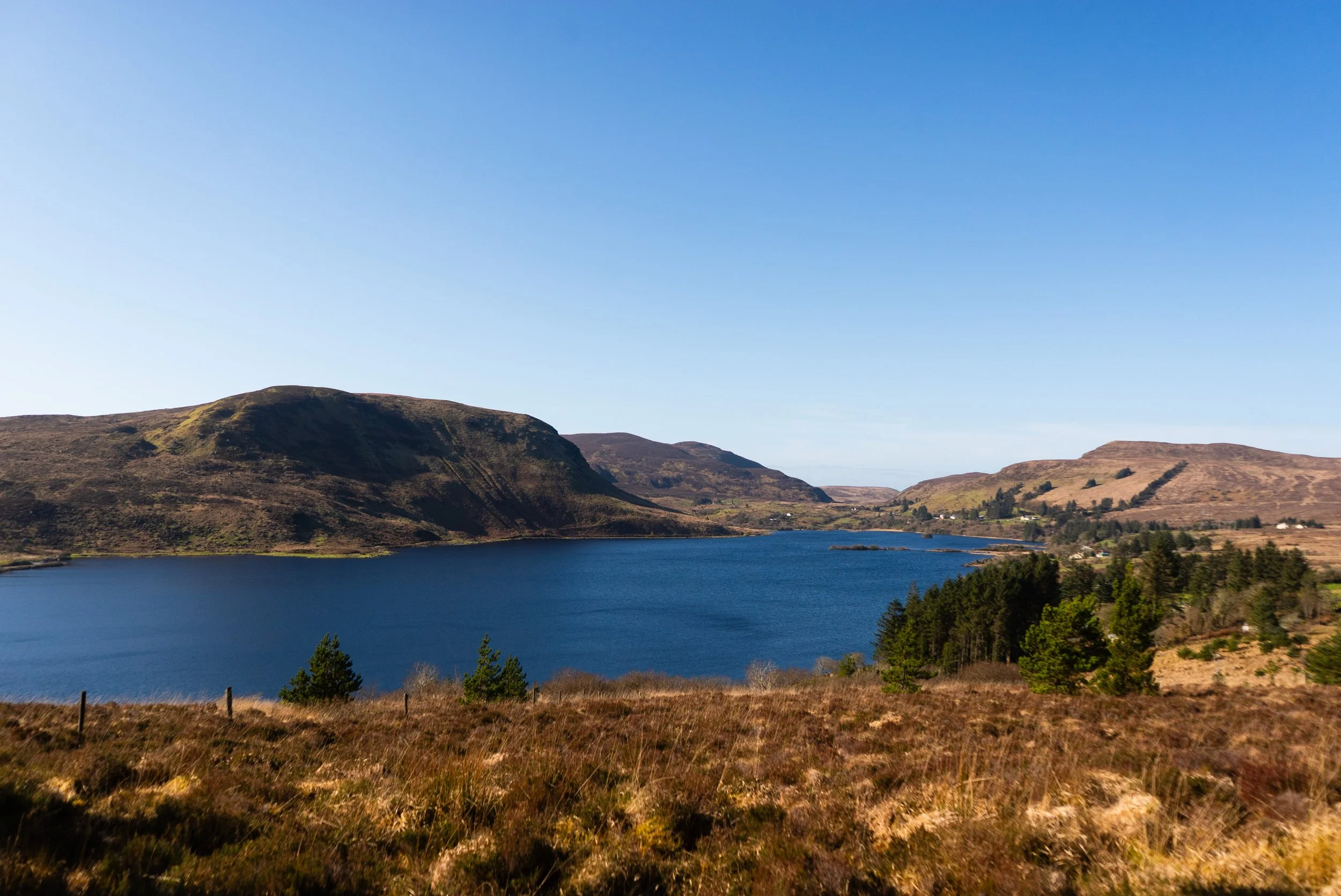 Lough-Talt-01285.jpg