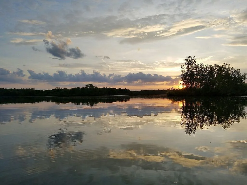 A peaceful river scene at sunset with a large tree on the right and reflections of clouds and sky on the calm water.