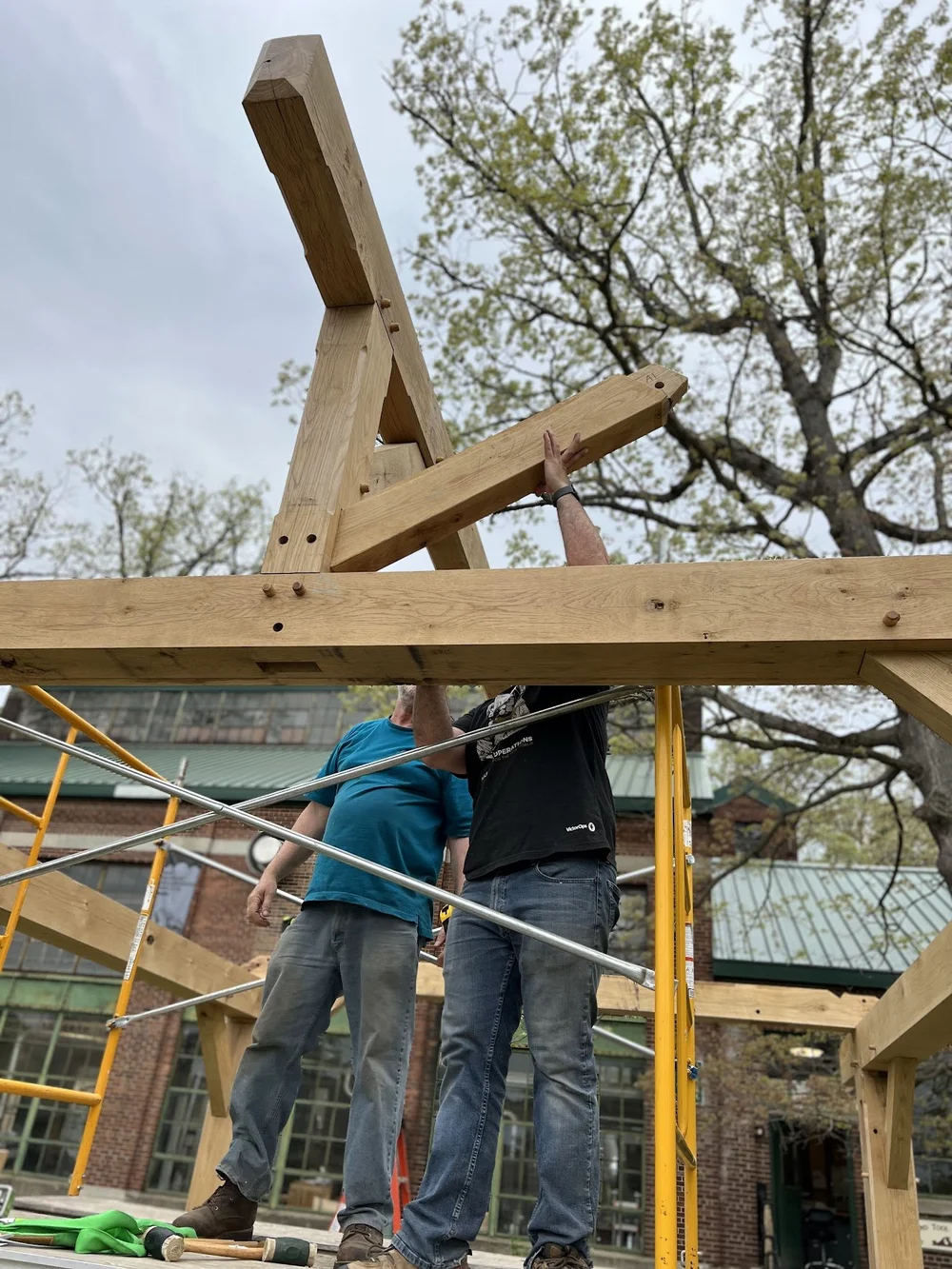 Timber Framing 2023.jpeg