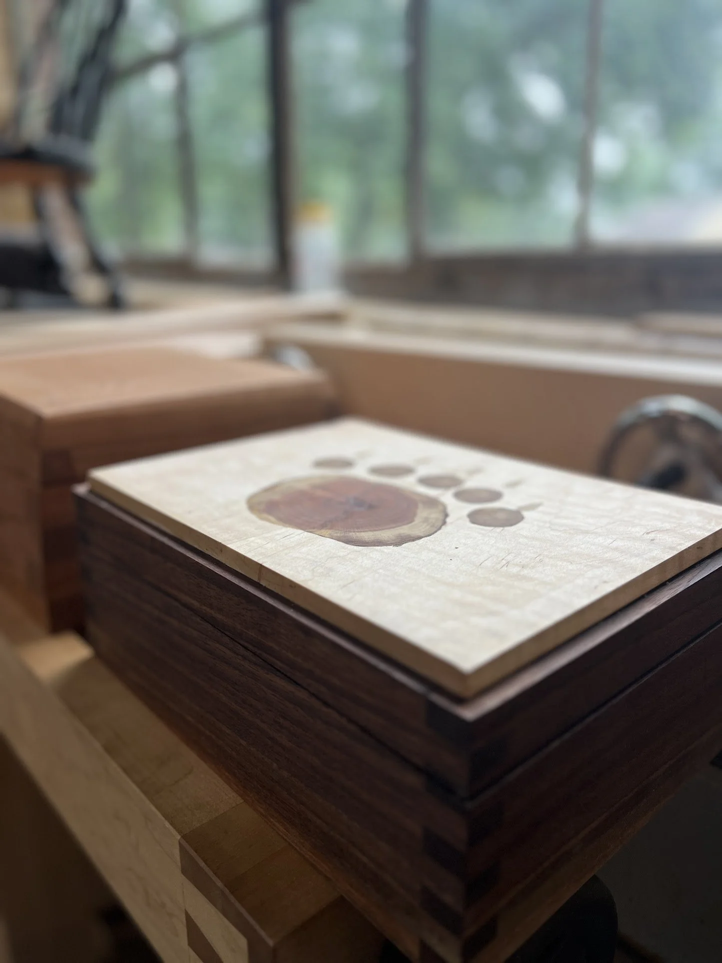 Bear Claw Box.JPG