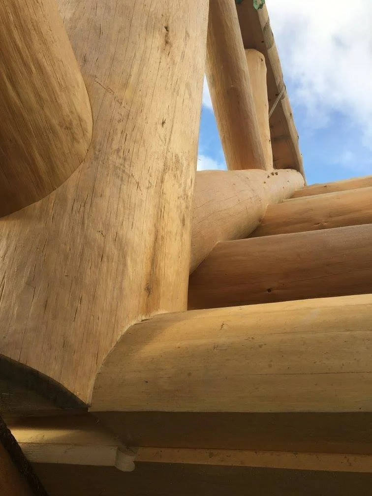 Round Log Timber Framing: Blending Tradition with Natural Forms
