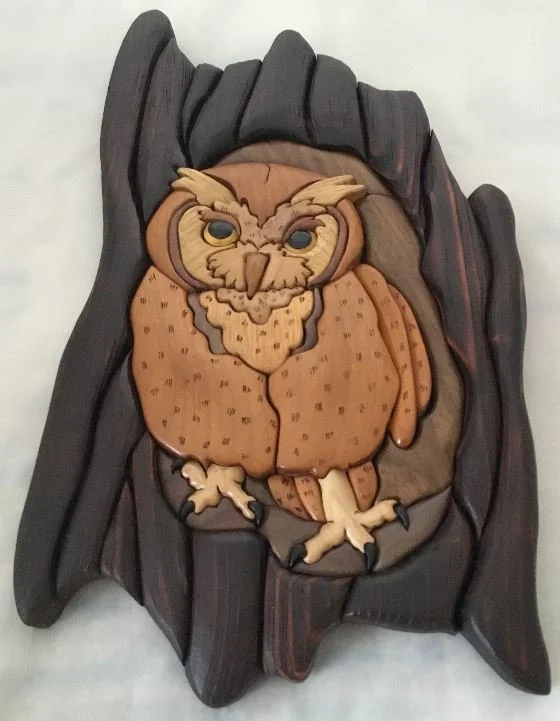 Rochester Woodworkers Society 2.jpeg