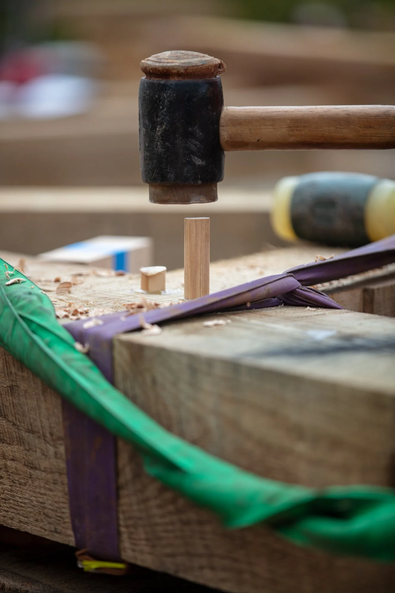 Heartwood School Scholarships