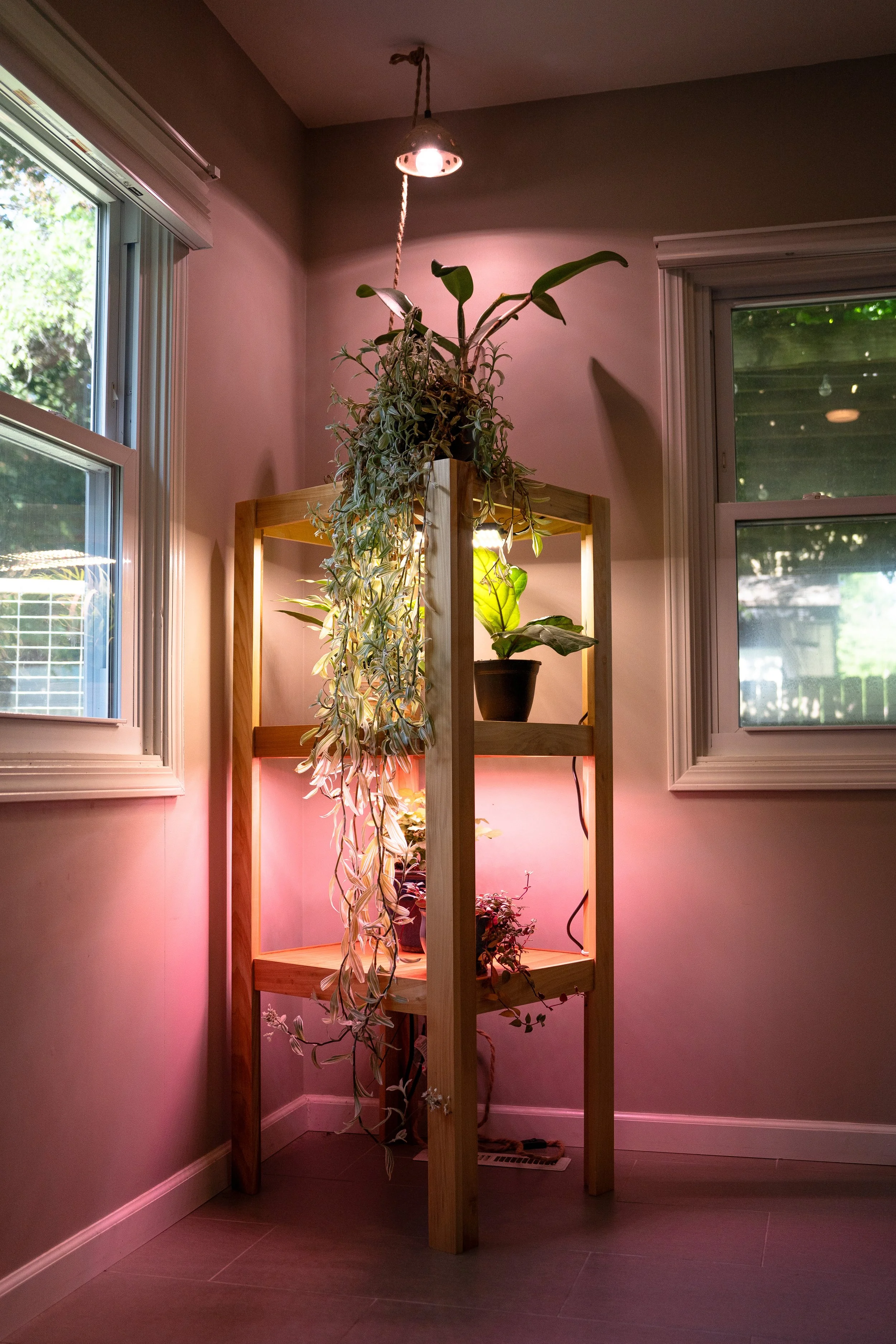 Jonkman-Plant Shelf 1.jpg