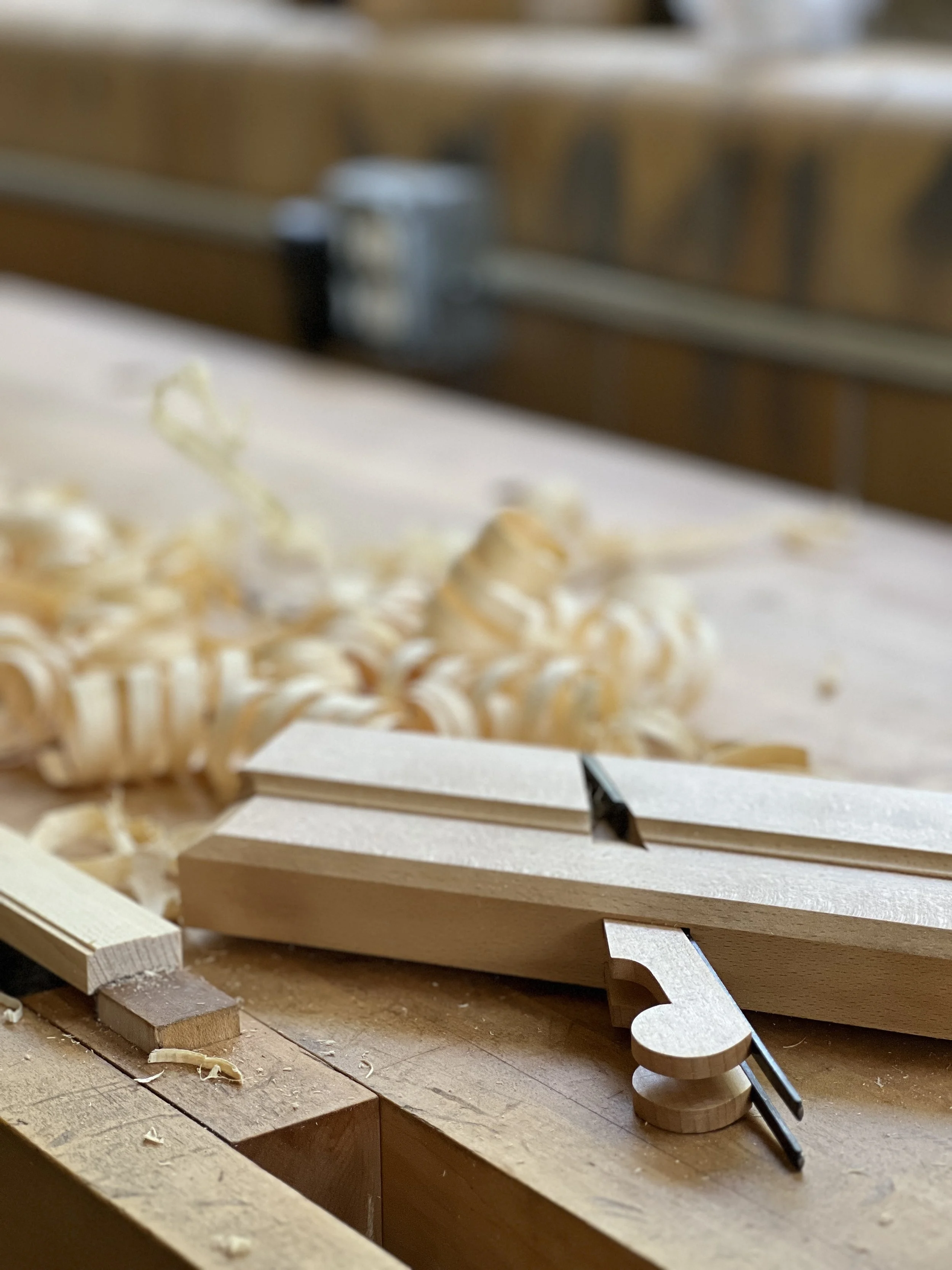 New Architectural Carpentry &amp; Preservation program will launch at SBWI’s new $16.5 million campus in Adrian Township