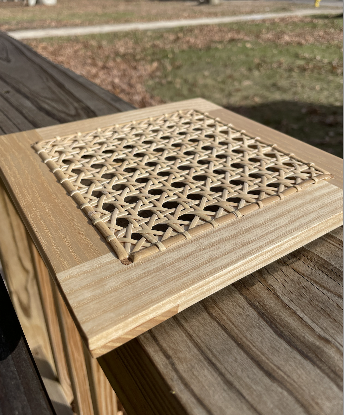 Introduction to Caning