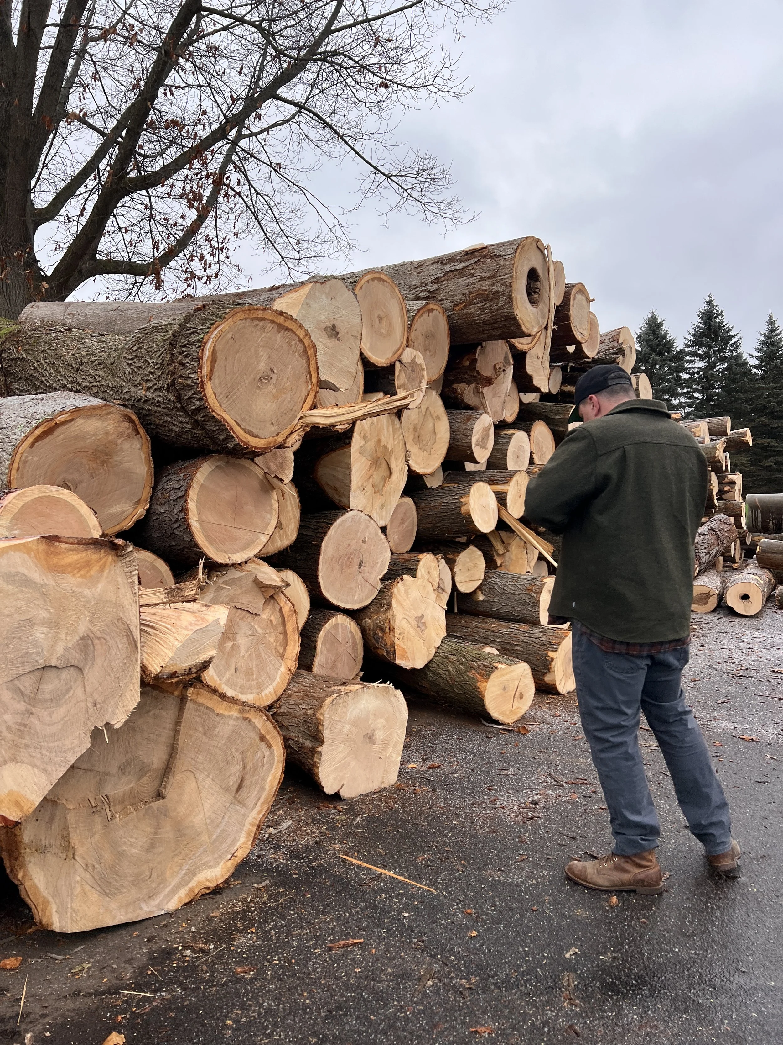 Learn to Identify Wood