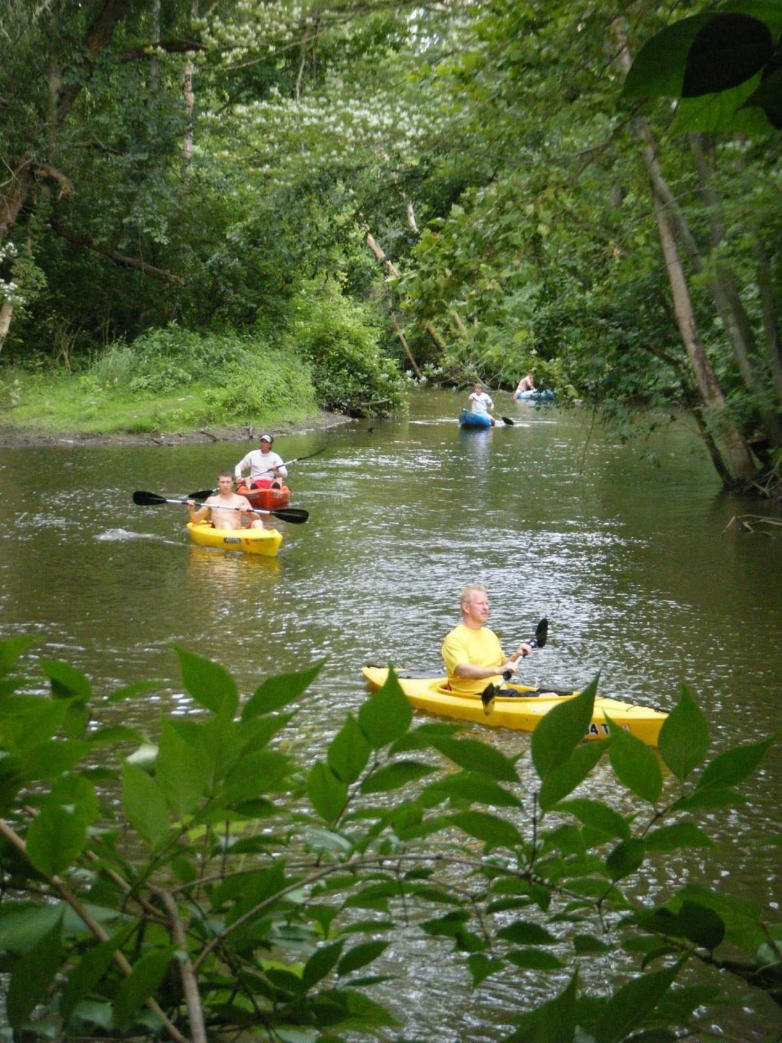 People kayaking on a calm river surrounded by lush green trees.