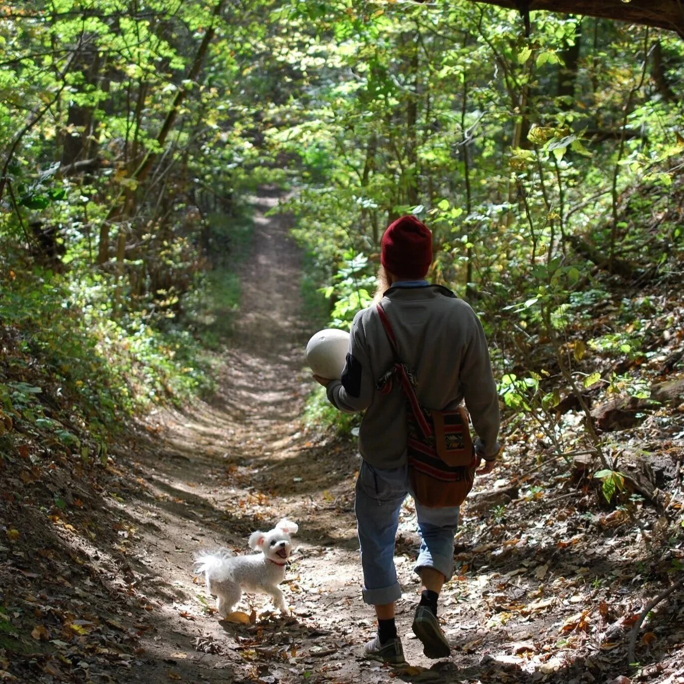 A person with a red hat walking on a forest trail with a small white dog.