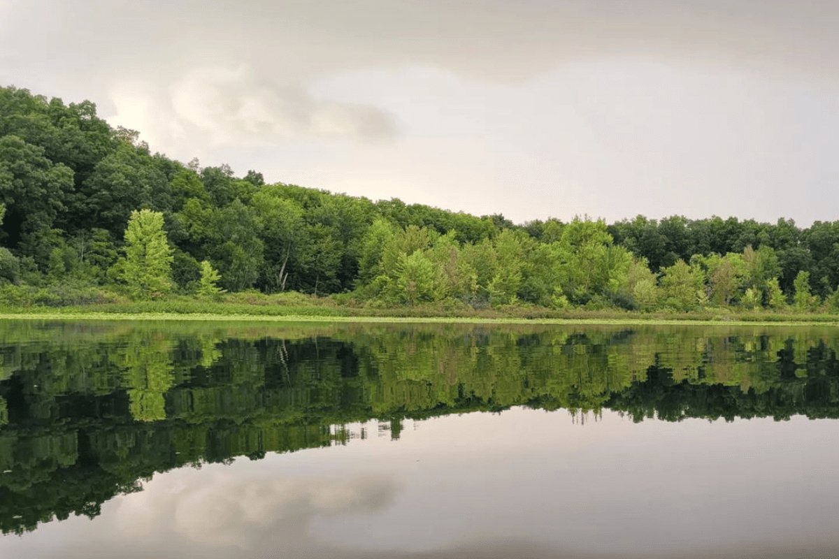 A peaceful lake reflecting the green trees and cloudy sky on its calm surface.
